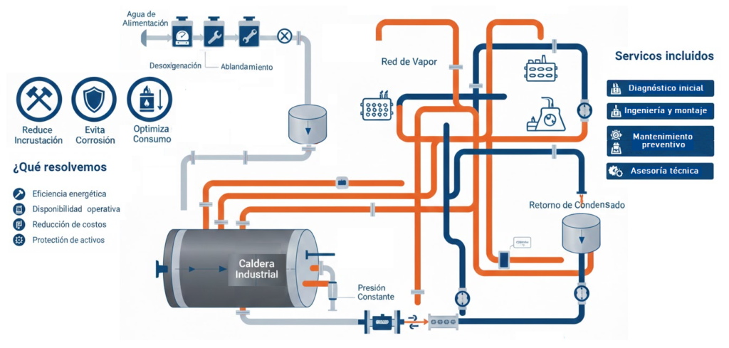 Caldera y red de vapor